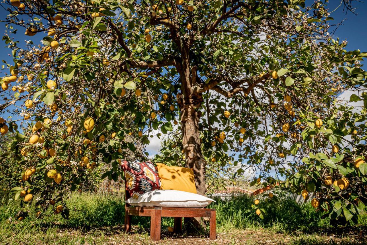 Finca El Limonar Алора Екстериор снимка