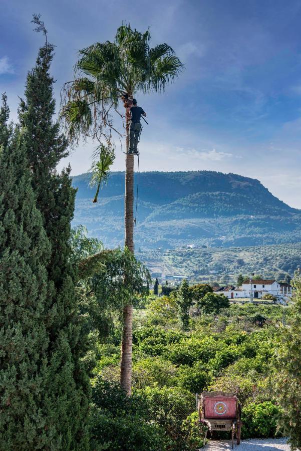 Finca El Limonar Алора Екстериор снимка