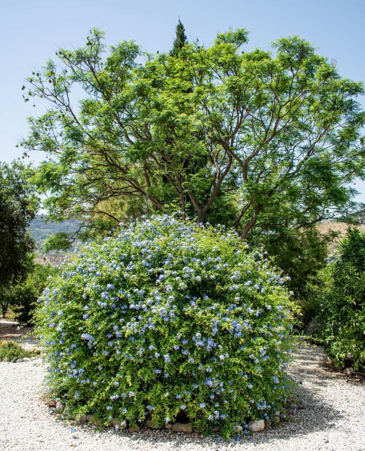 Finca El Limonar Алора Екстериор снимка