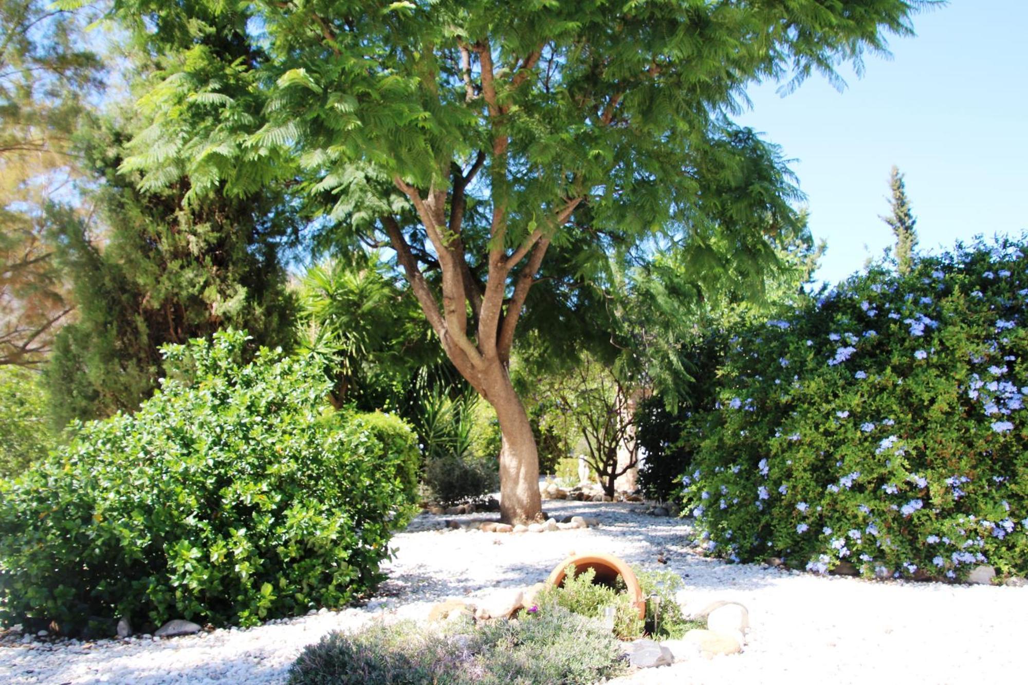 Finca El Limonar Алора Екстериор снимка